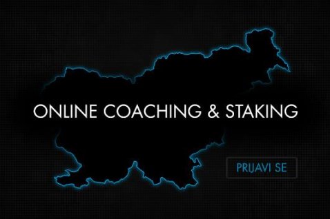 Vabljeni v Online Staking & Coaching program!